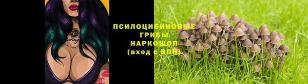 винт Аркадак