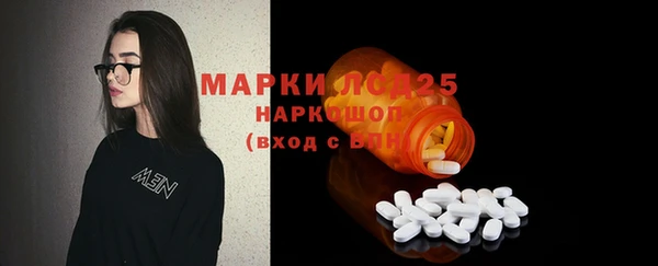 винт Аркадак