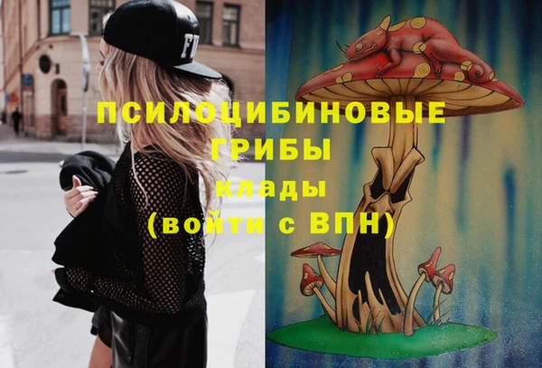 винт Аркадак