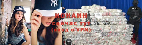 винт Аркадак