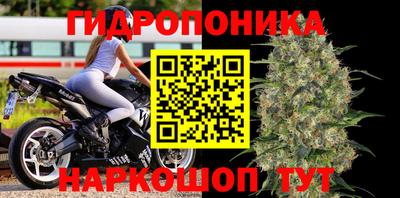 дмт Лесосибирск