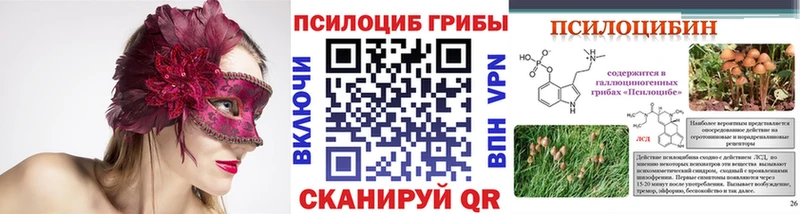 Псилоцибиновые грибы Cubensis  omg ссылка  Зима 