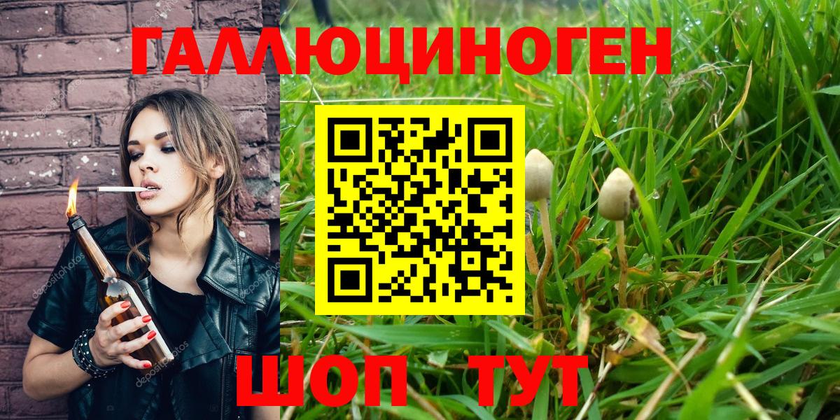 Зима  купить наркоту  Вход с VPN  Галлюциногенные грибы Psilocybe 