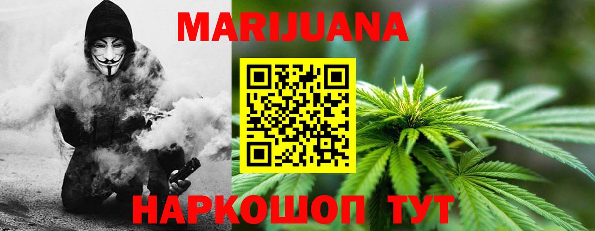 Канабис MAZAR Зима