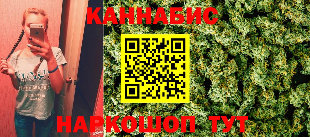 Каннабис Amnesia  МАРИХУАНА планчик  Зима  Каннабис Amnesia  Вход с VPN 